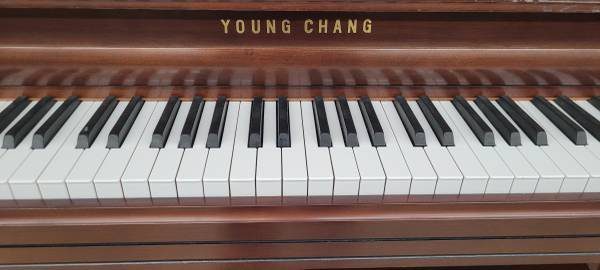 Young Chang Pf-110 Studio Piano - Image 7 Young Chang Pf-110 Studio Piano - Image 7